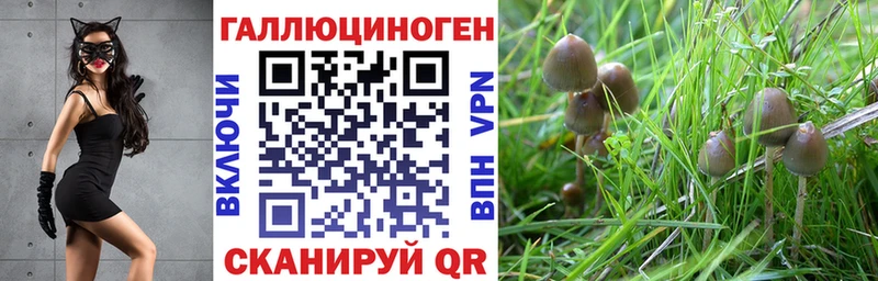 Псилоцибиновые грибы мухоморы  Усинск 